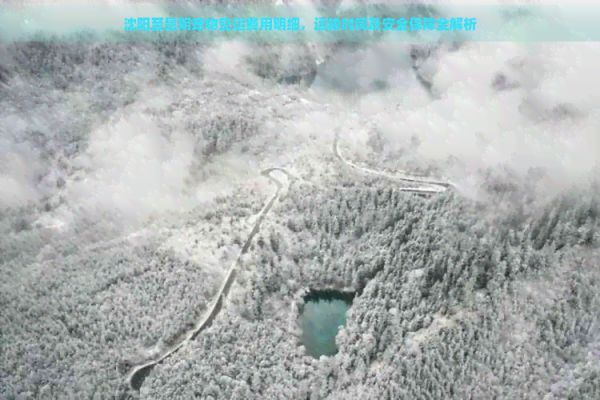 沈阳至昆明宠物空运费用明细，运输时间及安全保障全解析