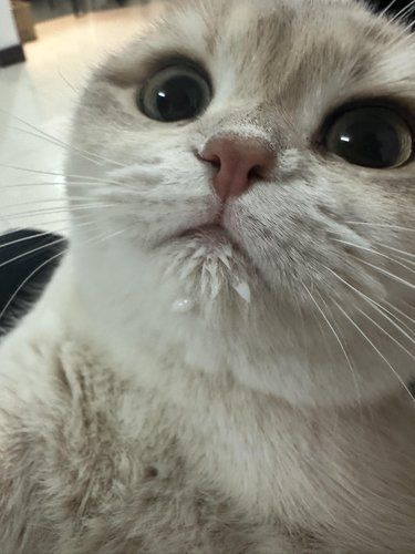 就不知道什么是饱‍♀️