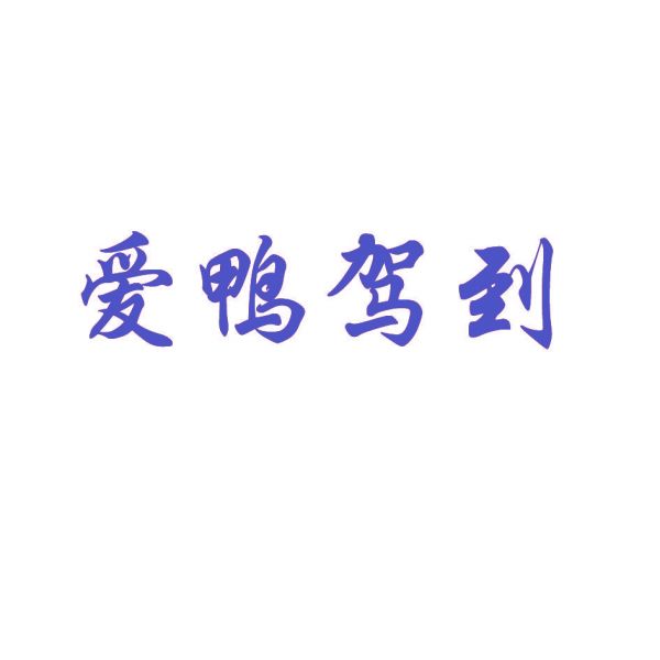 爱鸭驾到