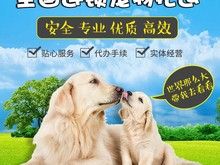 上海南汇惠南专业正规宠物托运公司