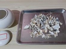 南汇区惠南镇宠物火化宠物殡葬服务地址电话狗狗猫咪火葬