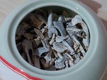 惠南宠物火化狗狗猫咪兔子火葬动物尸体无害化处理上门接送