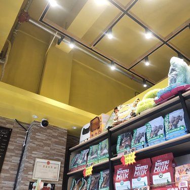 宠物店的暖心事