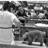 用公共餐具给狗喂食,铲屎官们怎么看待这个问题?