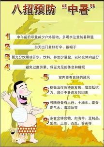 泉州宠物店购买指南？泉州市最受欢迎的宠物店排行榜