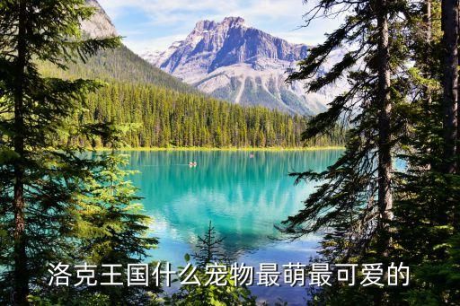 洛克王国什么宠物最萌最可爱的