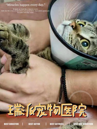 公司来了一位新合作伙伴哦，