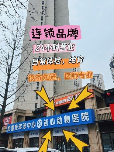 青岛的24h初心宠物医院，我给打100分
