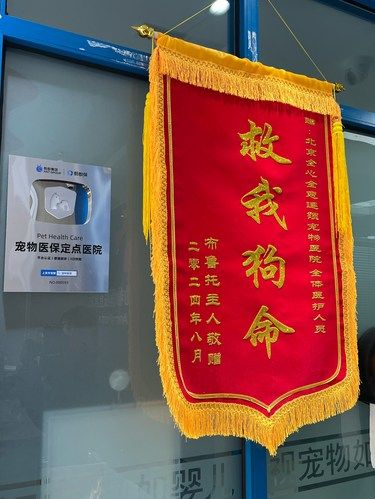 2️⃣4️⃣小时北京全心全意动物医院