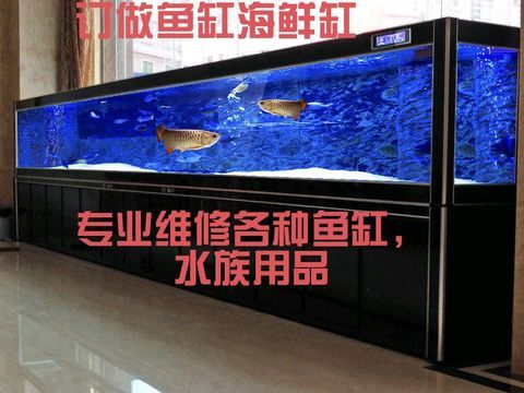 专业维修鱼缸水族服务·哈尔滨专业鱼缸维修养护，打造清新水世界
