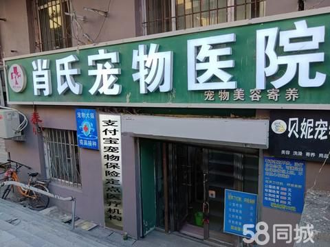 哈尔滨市肖氏宠物医院·肖氏动物门诊，宠物看病保险医院，支付宝保险与宠物医院合作单位