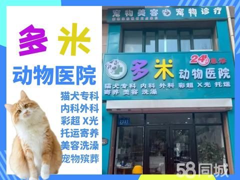 多米动物医院·20年临床医生坐诊擅长内外科手术绝育上门服务，另有宠物寄养服务