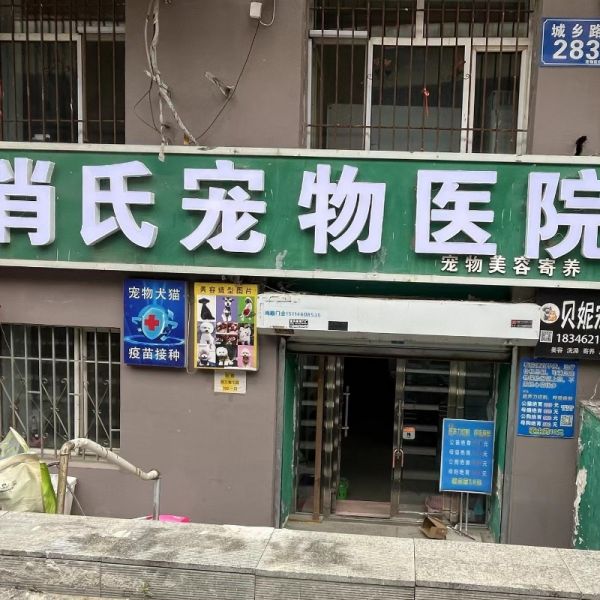 店主头像