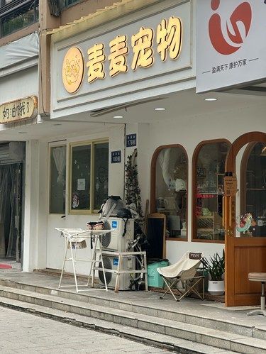 洗个澡小狗变自信了