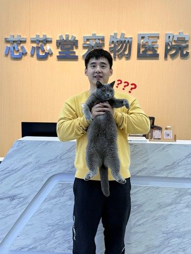 谁不想做一只健康快乐的小猫咪呢 