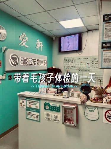 带着毛孩子体检的一天