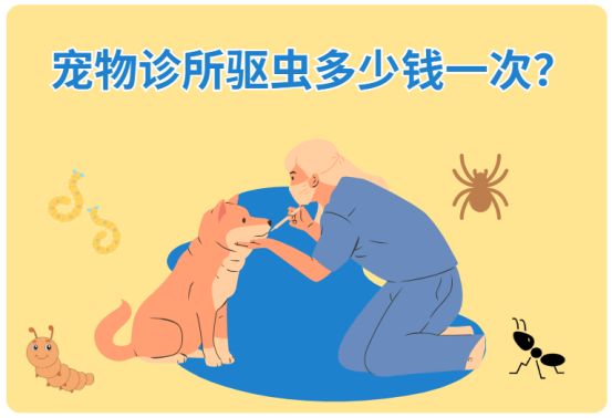 宠物诊所驱虫多少钱一次？