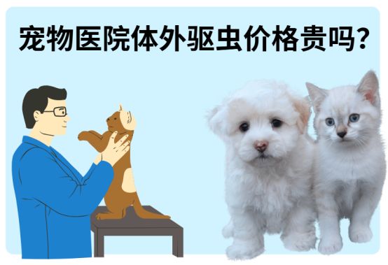 宠物医院体外驱虫价格