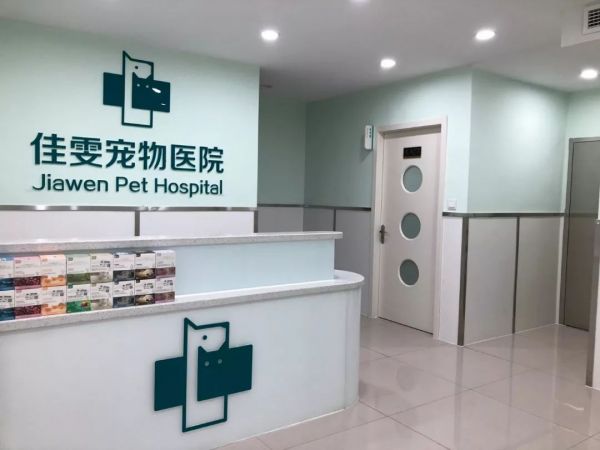佳雯宠物医院谢作缎：连锁宠物医院面临四大考验