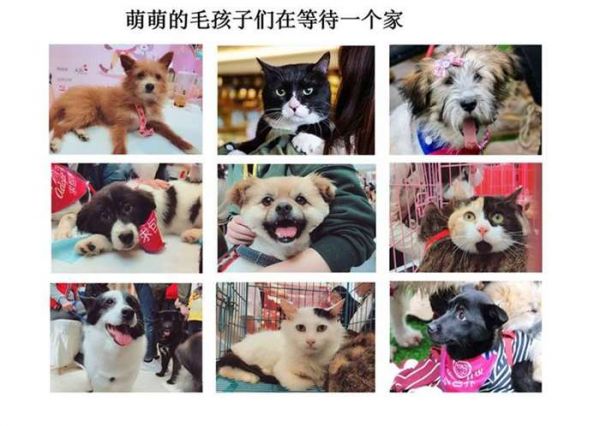 微信截图_20190108163751.png