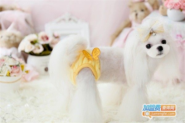 迈蕾宠物用品加盟