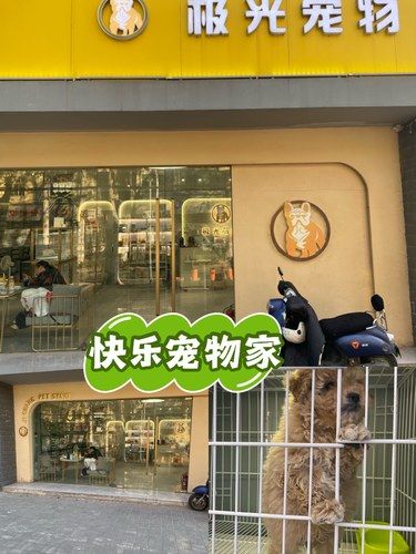 快乐宠物家
