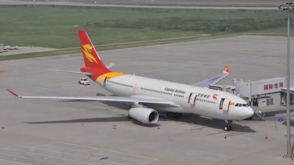 拉萨宠物空运 拉萨航空物流代理