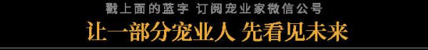 融资丨「凯尔资」完成数千万元A轮融资，源飞金鼎产业基金独家投资