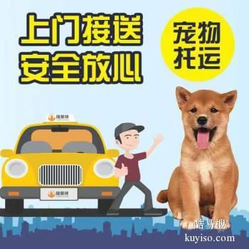 安庆宠物猫狗活体托运本地实体门店专车火车空运