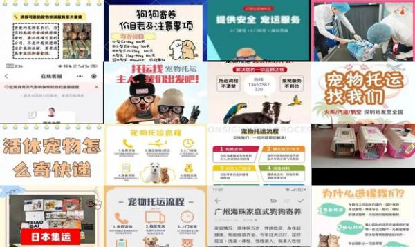 活宠物怎么邮寄
