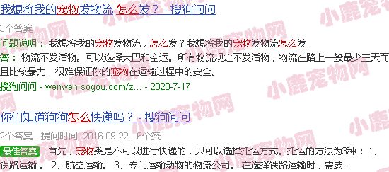 活宠物怎么邮寄