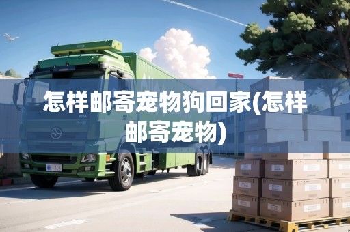 怎样邮寄宠物狗回家(怎样邮寄宠物)