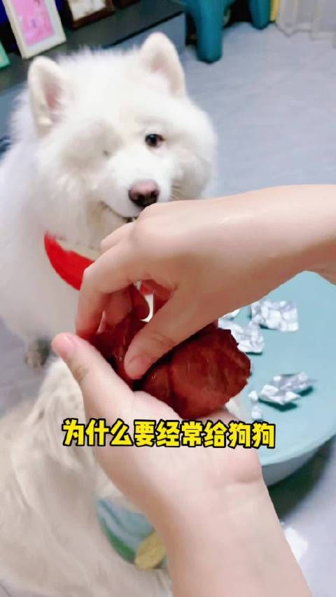 家有萌宠 慢火蒸制,原汁原味一点不咸,太香了,鸡肝营养丰富……