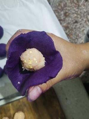 宠物过节～元宵的做法 步骤3