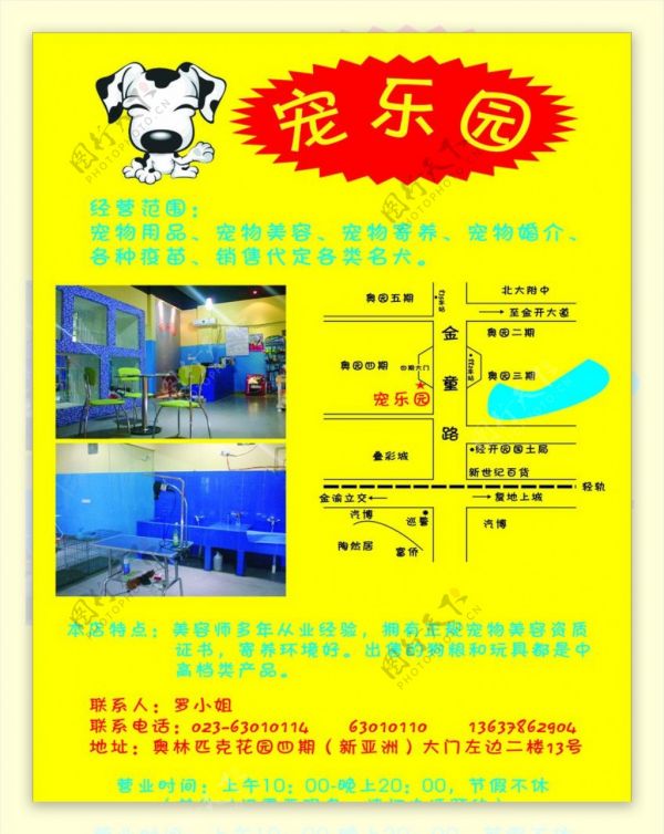 宠物乐园宣传单图片