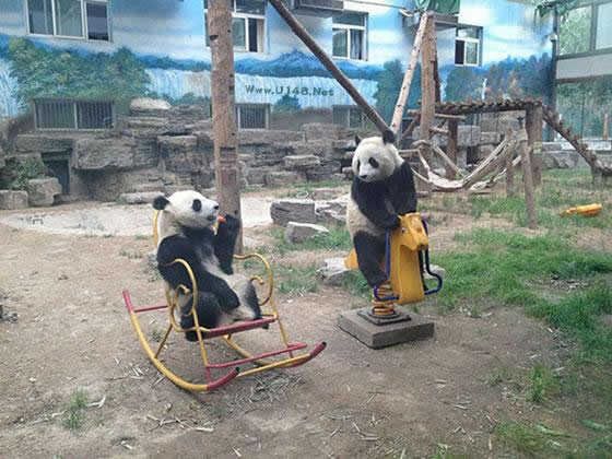 来自有意思吧（www.）