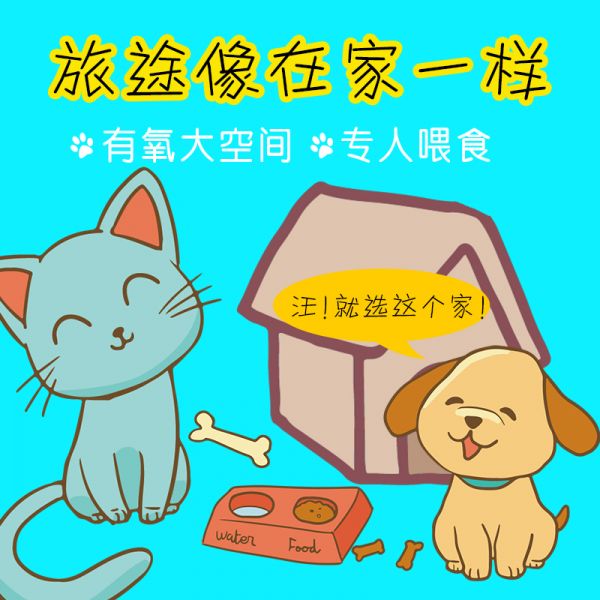 西安宠物快递价格表