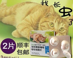 拜耳猫咪驱虫药吃多了怎么办？猫咪驱虫药过量处理方法有哪些？