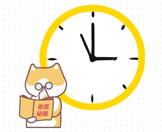 猫咪体外驱虫多久一次？