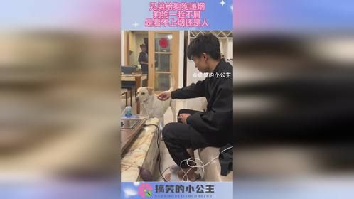 兄弟给狗狗递烟，狗狗一脸不屑，是看不上烟还是人！
