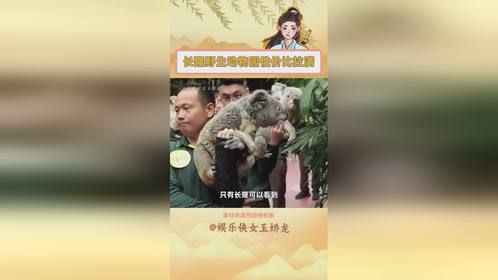长隆更有性价比