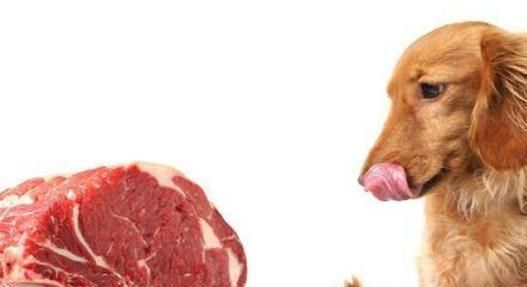 宠物狗食盐中毒的诊疗方法（宠物狗食盐中毒的原因、症状、预防及治疗）