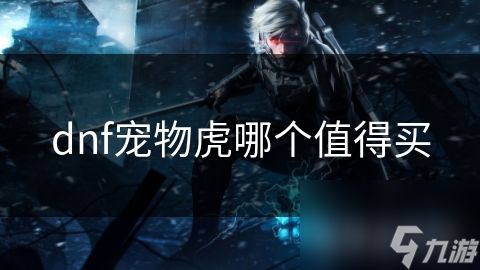 dnf宠物虎哪个值得买