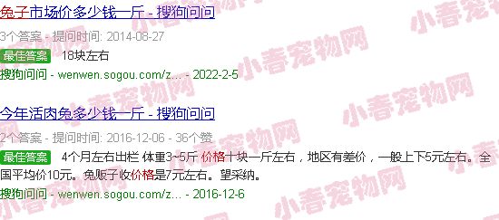 兔子价格最新价格行情