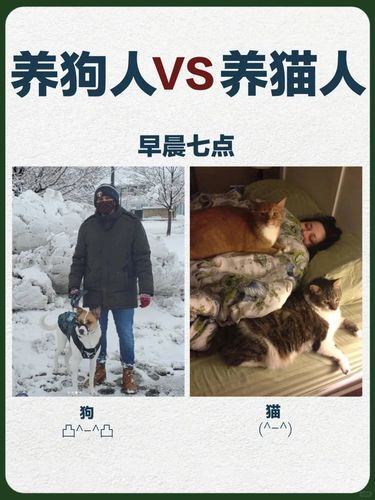 别不信！养猫和养狗是两种人生