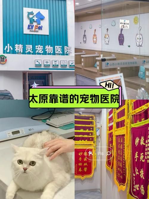 太原比较好的宠物医院，太原宠物医院排名前十？