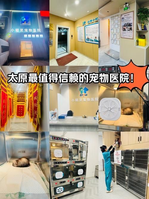 太原比较好的宠物医院，太原宠物医院排名前十？