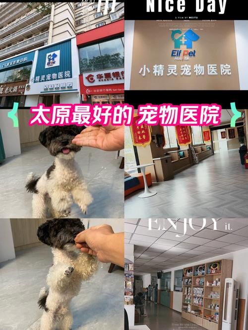 太原比较好的宠物医院，太原宠物医院排名前十？
