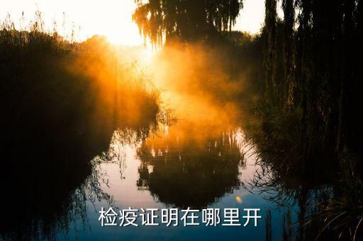 检疫证明在哪里开