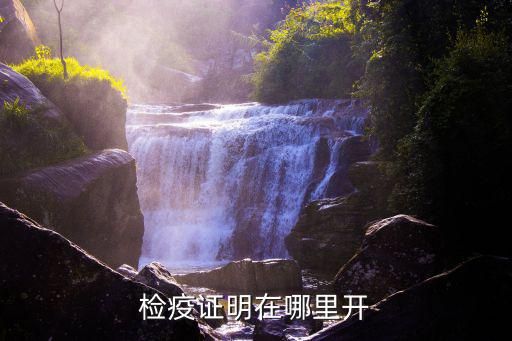 检疫证明在哪里开
